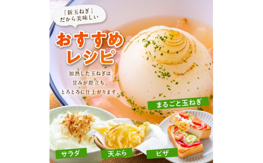 【訳あり】新たまねぎ　JA00063