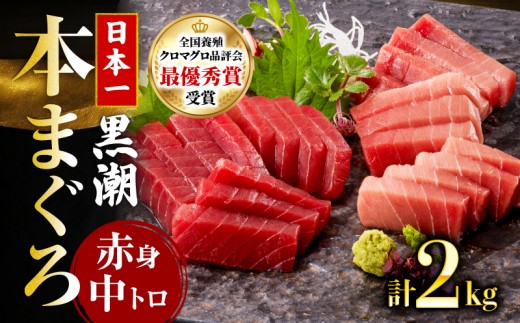 本マグロ2種セット ( 中トロ・赤身)  約2kg (高知道水)