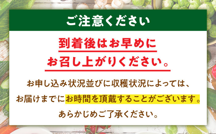 【全6回定期便】あったら嬉しい根菜セット+おまかせ旬野菜