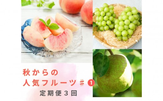 2026年度発送【定期便 ３回 】秋からの人気フルーツ ＃１