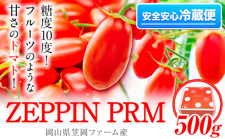 
            高糖度トマト ZEPPIN PRM(プレミアム)  500g 株式会社ジェイ・イー・ティ・アグリ《120日以内に出荷予定(土日祝除く)》甘い トマト フルーツトマト ミニトマト 糖度10以上 野菜 新鮮 完熟 産地直送 甘味 うまみ 食感 
          