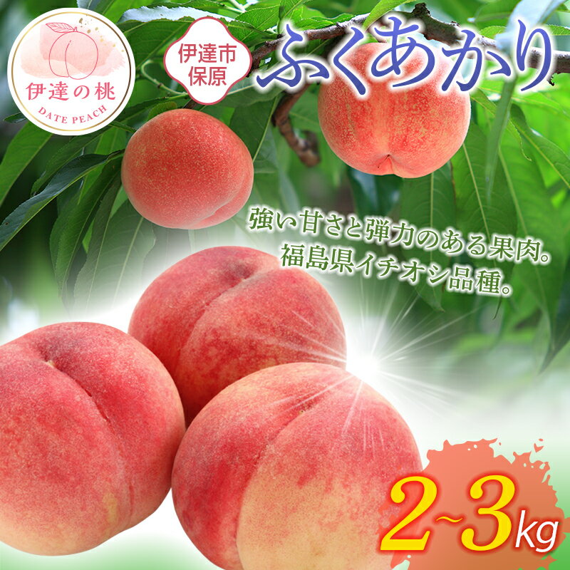 【ふるさと納税】2025年出荷分 先行予約数量が選べる 福島県産 ふくあかり 2kg 3kg 5kg 2025年7月中旬〜2025年7月下旬発送 先行予約 予約 伊達の桃 桃 もも モモ 果物 くだもの フルーツ 国産 食品 F20C-505var