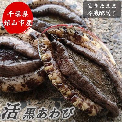 ふるさと納税 館山市 【先行予約】【金曜日発送】漁師直送!天然活黒アワビ1kg(2〜5枚)
