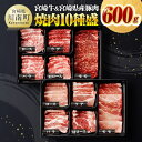 【ふるさと納税】 宮崎牛 ＆ 宮崎県産豚肉 焼肉 10種 - 肉質等級等4級以上 肉 牛肉 国産 国産牛 黒毛和牛 豚肉 ぶた肉 A4 A5 4等級 5等級 ミヤチク カタロース バラ モモ ウデ ロース 焼肉 セット BBQ バーベキュー 宮崎県 川南町 D00601