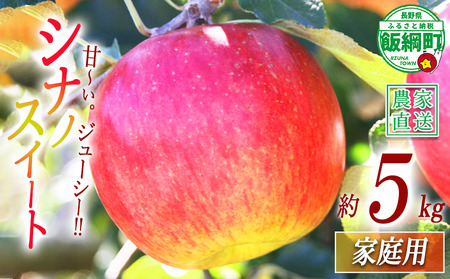 りんご シナノスイート 家庭用 5kg マルカズりんご農園 沖縄県への配送不可 2026年10月中旬頃から2026年10月下旬頃まで順次発送予定 令和8年度収穫分 信州 果物 フルーツ リンゴ 林檎 