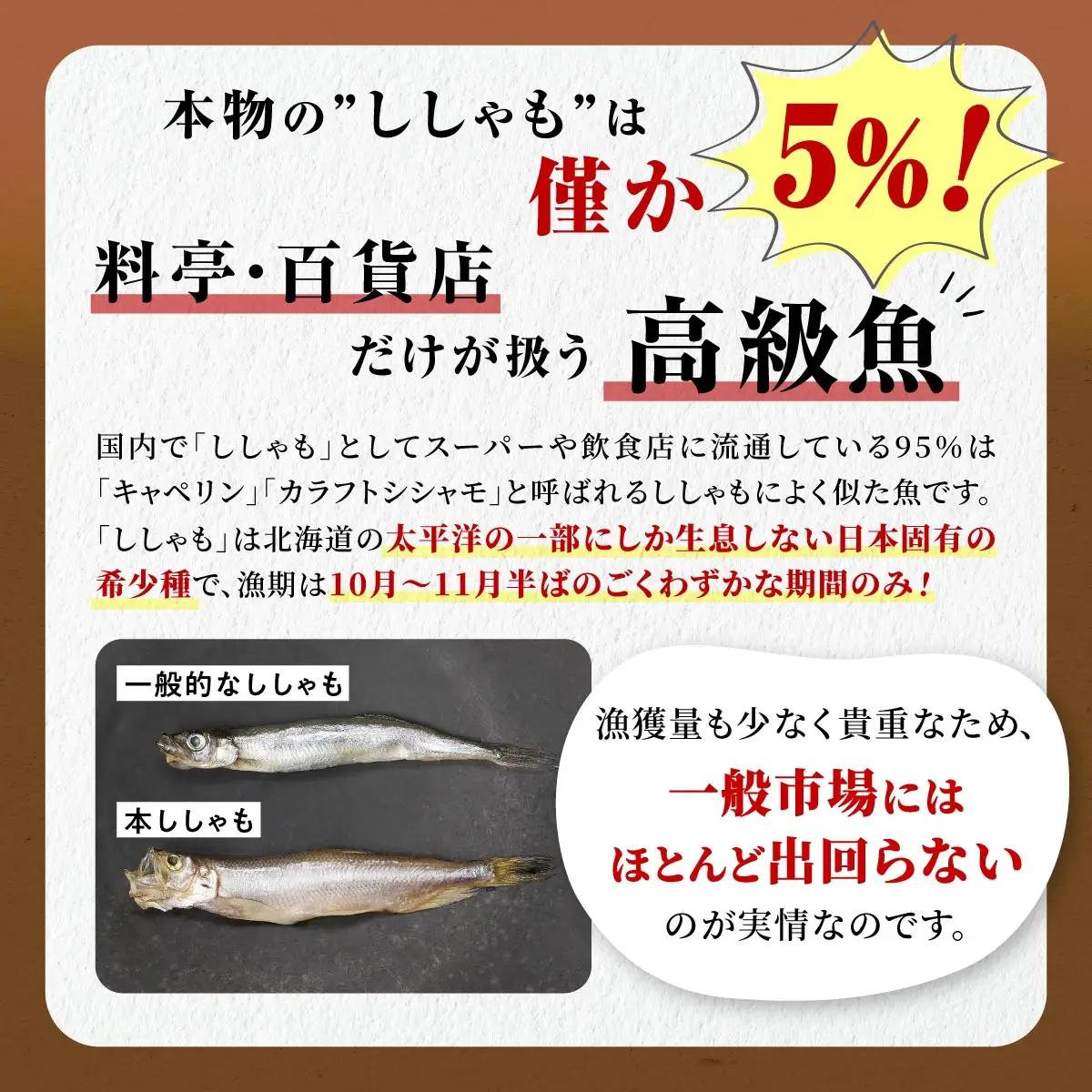 しらぬか産 本ししゃも【オス20尾】_A012-1024