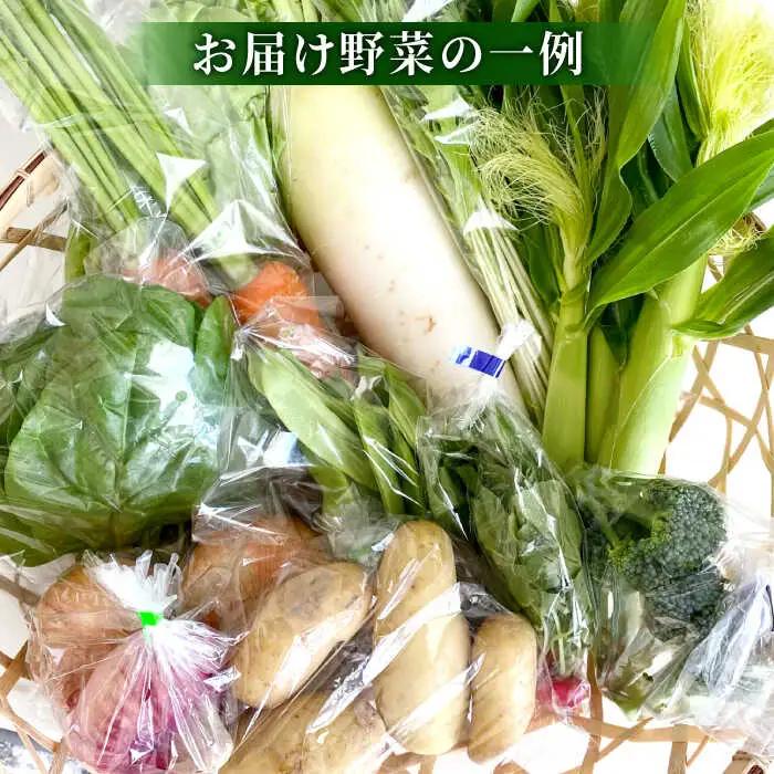高槻野菜おまかせ詰め合わせセット 1月（10種〜15種）[AOCS007] 野菜セット
