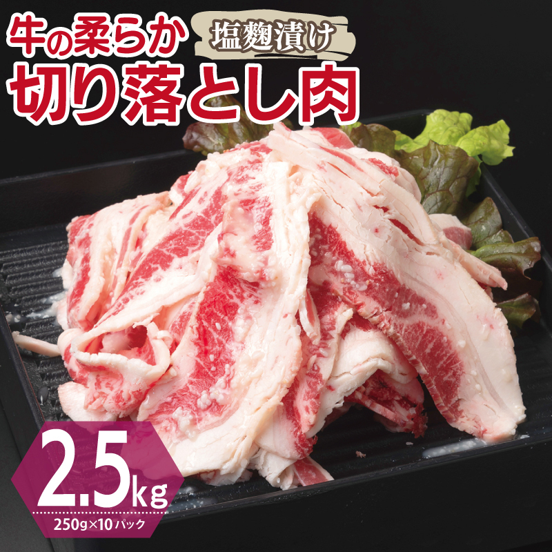牛肉 切り落とし 塩麹漬け 合計2.5kg【味付け 小分け 焼くだけ 簡単調理 BBQ 牛肉 250g×10袋】 G3390