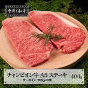 【ふるさと納税】山形牛枝肉共進会チャンピオン受賞 雪降り和牛尾花沢 サーロインステーキ 400g(200g×2枚) A5ランク 牛肉 黒毛和牛 国産 tc-cpstx400