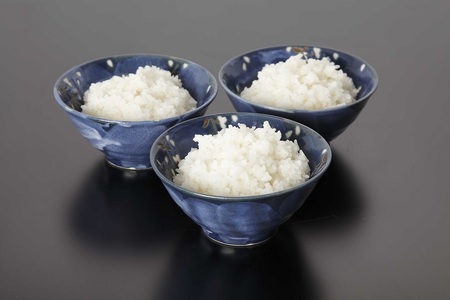 a10-987　非常食 白いご飯 10食 防災 備蓄 キャンプ 5年保存