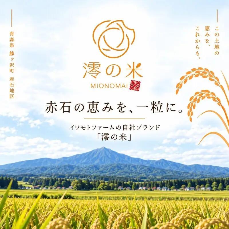 【6回定期便】米 30kg 玄米 まっしぐら イワモトファーム 青森県産 令和8年産 6ヶ月 定期便 新米 健康 栄養 食物繊維 業務用 大容量 ブランド米 直送 農家直送 お取り寄せ お米 こめ コ