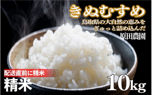 令和7年産 原田農園きぬむすめ精米 10kg｜鳥取県産 令和7年 2025年産 お米 精米 原田農園 やまのおかげ屋【31035】
