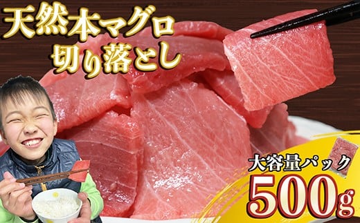天然本マグロ 切り落とし 大容量パック ５００ｇ 天然まぐろ 本マグロ 刺身 中トロ 赤身 まぐろ丼 家族みんなで 手巻き寿司 寿司 天然 まぐろ マグロ 簡単 時短 冷凍 魚介 海鮮 トロ 鮪 人気 返礼品 三重県 尾鷲市 CH-106