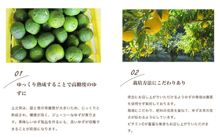 楽しみ方いろいろ! 「ゆずの里上之保」 ゆず蜜（シロップ）　2個 かき氷、アイスクリーム、ヨーグルト、炭酸水やお水で割ってドリンクに ～栽培期間中農薬不使用の上之保産柚子を使用 自家栽培 国産 柚子 