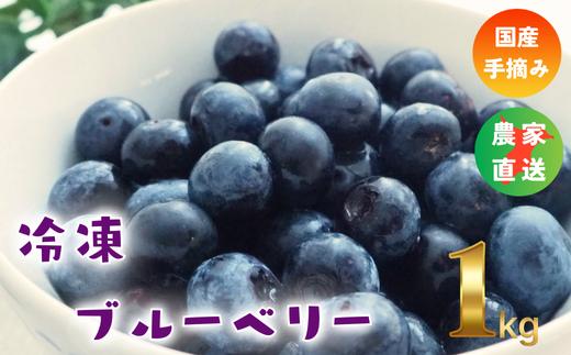 
【千葉県のあま～い恵み】小分けパックの冷凍ブルーベリー 1kg(500g×2袋)
