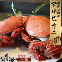 【ふるさと納税】【数量・期間限定】宮崎県串間産　アサヒガニ　特大サイズ約1kg〜2kg（2〜3匹）日本では大変希少な国産アサヒガニ ！【豊漁丸】【HRAGT-0】