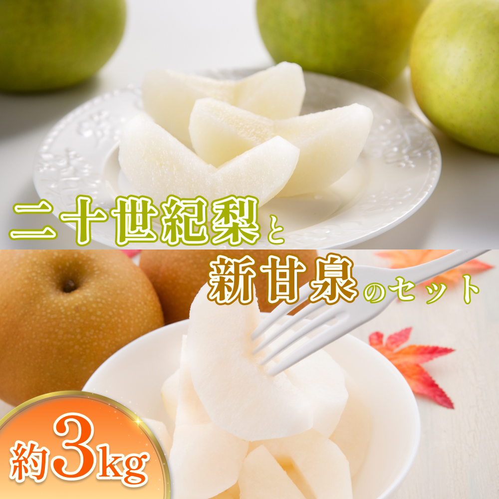 【2026・先行予約】二十世紀梨と新甘泉セット 3kg｜鳥取 果物 フルーツ なし 梨 2026年収穫後【41040】