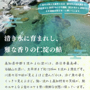 有名料亭も絶賛！鮎屋仁淀川の仁淀ブルー友釣り天然鮎500g（5-14尾）【2026年6月アユ漁解禁後発送】