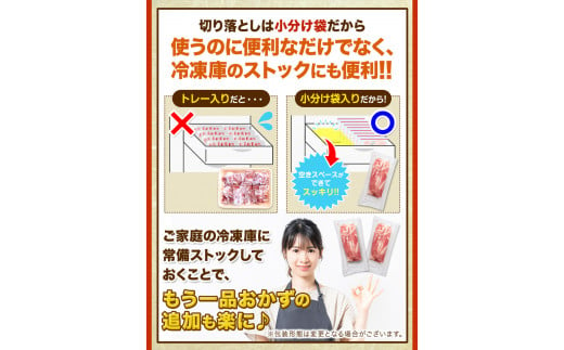 6ヶ月定期便 うまかポーク  約400g×7袋 【切り落とし2.8kg+ミンチ1.2kg】《お申込み月の翌月から出荷開始》---fn_fuptei_23_68000_mo6num1_set---