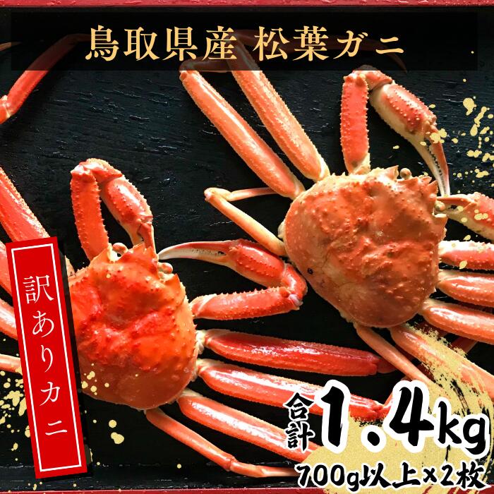 【ふるさと納税】鳥取県産　訳あり蒸し松葉ガニ　700g以上2枚 EY92