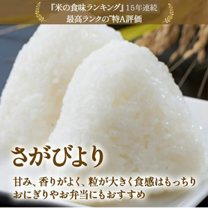【令和７年新米先行予約】牟田農園の さがびより （５㎏×２袋）＜精米＞ 新米 予約 令和7年 米 さがびより 牟田農園 5kg 10kg 佐賀県 太良町 OD12