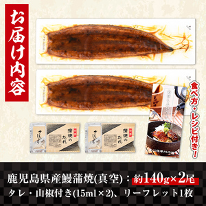 i505-us 【丑の日までに配送】鹿児島県産うなぎ蒲焼2尾セット(約140g×2・計約280g) うなぎ 鰻 ウナギ 2尾 蒲焼き 国産 鹿児島県産 焼きたて 生産量日本一 真空パック おかず 晩御