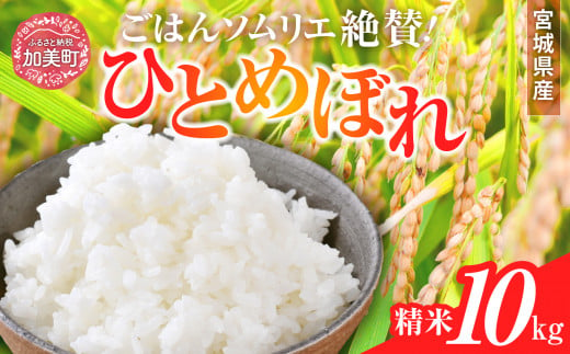 新米 精米 令和6年産 宮城県産ひとめぼれ 10kg [菅原商店 宮城県 加美町 ]  | sg00001-r6-10kg