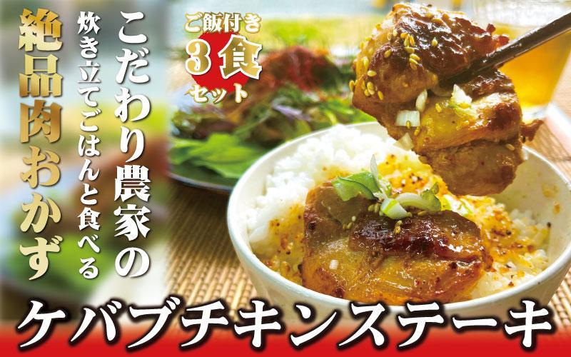 絶品ケバブチキンステーキ3種(各1パック) とごはん 3パック