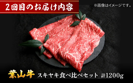 【全3回定期便】毎月内容が変わる！葉山牛お楽しみ便 牛肉 食べ比べ[ASAP087]