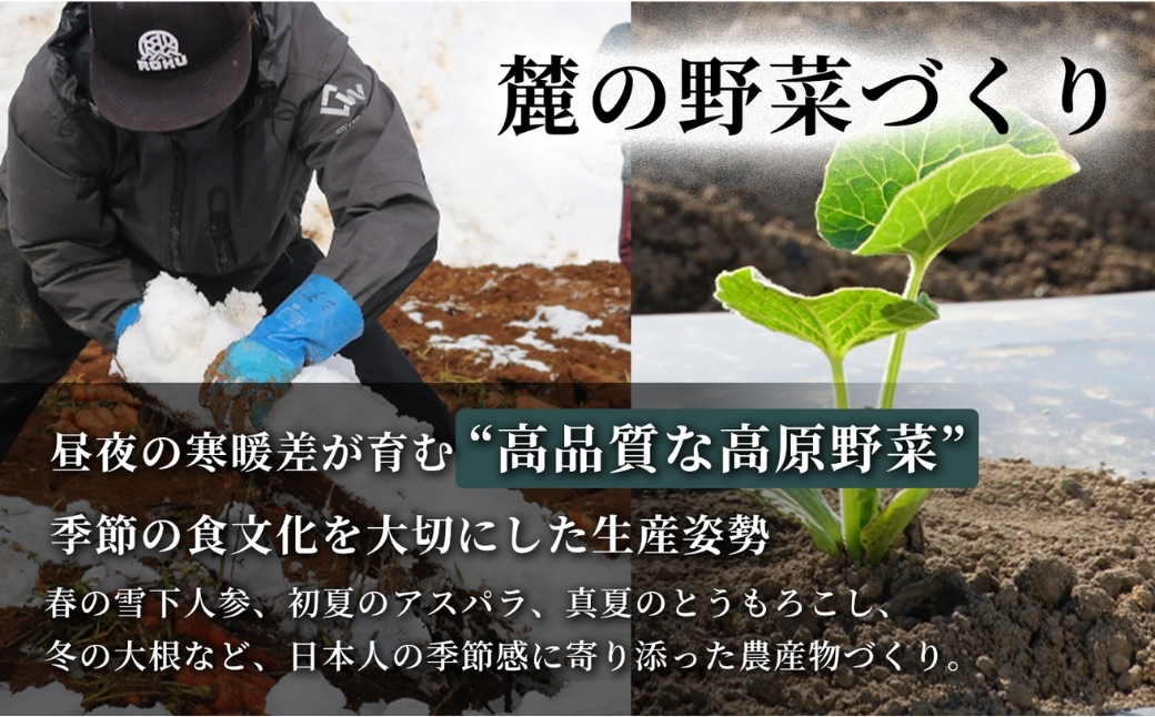 雪下にんじんジュース 200ml（12本1箱）5セット 新潟県 津南町 155751-022