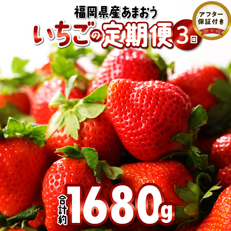 先行予約！『いちごの定期便』福岡県産　あまおう　合計約1680g（約280g×2パックを2月3月4月の3回）2025年2月より順次発送