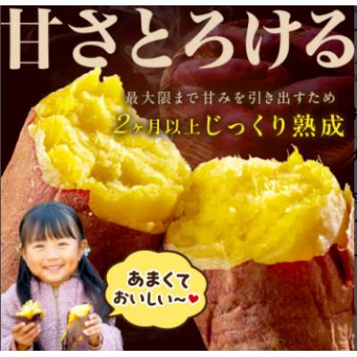 ふるさと納税 京丹後市 日本一!さつまいもオブザイヤー2部門受賞のサツマイモ農家が作る「紅はるか」冷凍焼き芋 2kg |  | 02