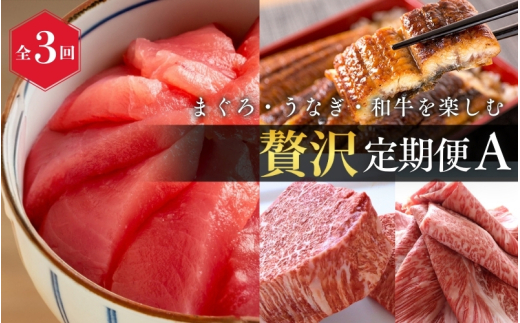 【定期便 全3回】紀州和歌山うまいもんセットA（生まぐろ・うなぎ蒲焼・熊野牛）【UT125】