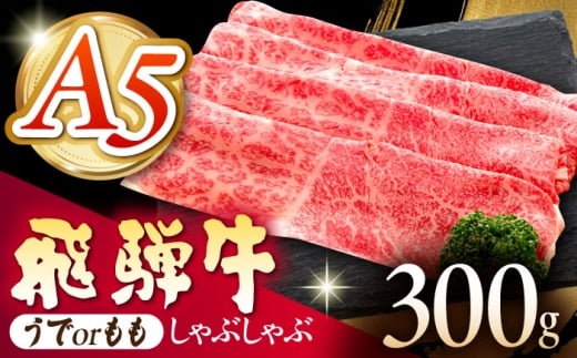 《冷蔵》 【A5等級】 飛騨牛 うでorもも しゃぶしゃぶ 300g 多治見市 / 肉の沖村 A5 牛肉 ギフト 贈り物 [THI007]