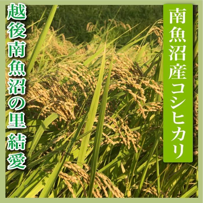 【令和7年産】【定期便 精米２Kg×全6回】越後南魚沼の里 結愛 南魚沼産コシヒカリ【2025年10月上旬より順次発送予定】