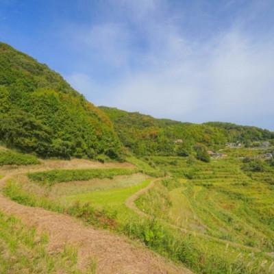 ふるさと納税 上越市 令和7年新潟県上越産　桑谷ファーム/桑谷米(棚田米コシヒカリ)白米5kg |  | 03