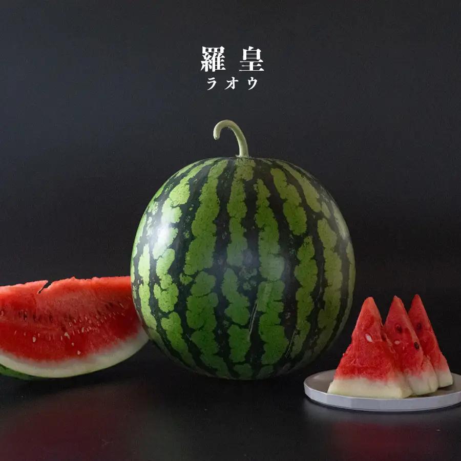 朝採れ すいか 1玉 大玉スイカ （6kg以上） 【先行予約 7月中旬頃より発送】 甘い 果物 野菜