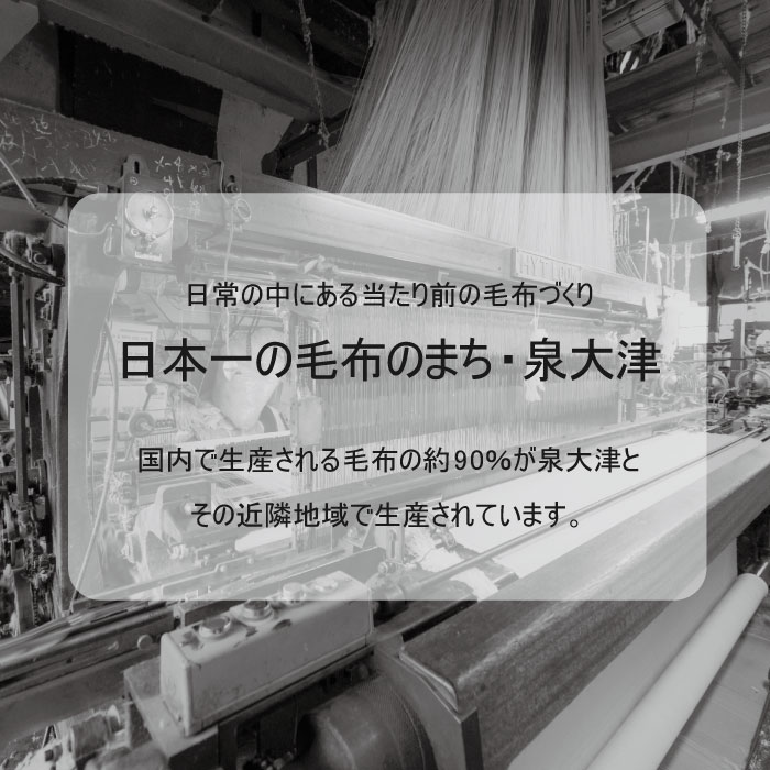 綿毛布 スリーパー (Lサイズ) 2way仕様で暖か アッシュグリーン×ホワイト 毛布の町 (泉大津産)｜ 毛布 着る毛布 赤ちゃん ベビー 子供用 保湿性 通気性 睡眠 洗える 洗濯可能 プレゼント キッズ sleeper-s [2444]