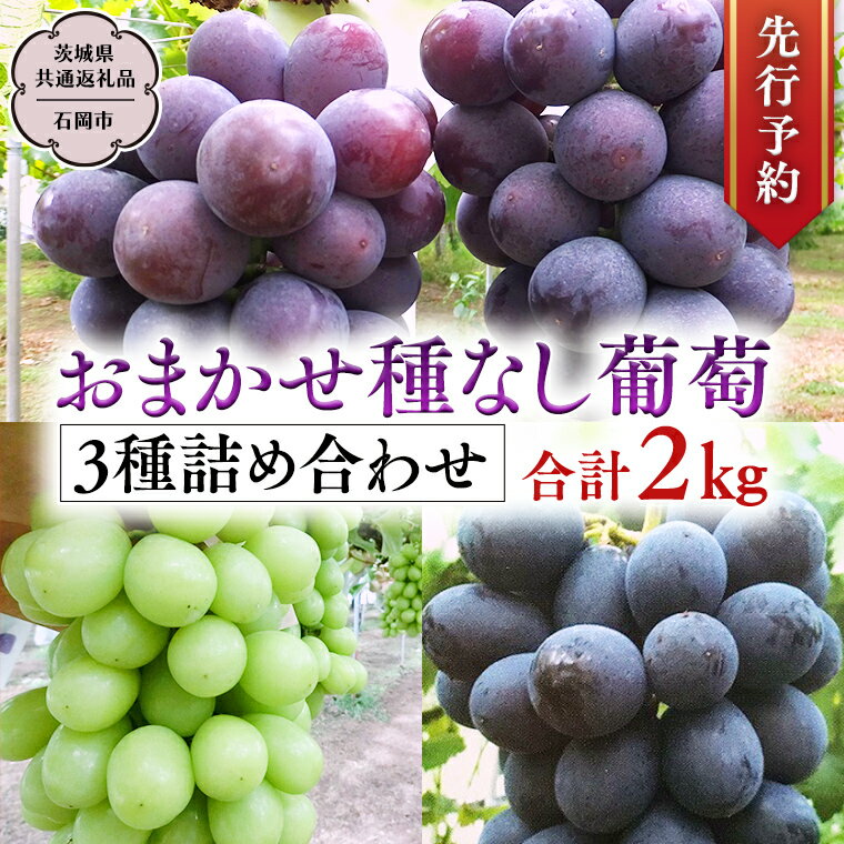 【ふるさと納税】《 2025年9月中旬発送開始 》 おまかせ 種なし葡萄 3種 詰め合わせ 約2kg (茨城県共通返礼品 石岡市） 開田ぶどう園 産地直送 フルーツ 甘い 直送 茨城 限定 ギフト ぶどう シャインマスカット ナガノパープル 果物