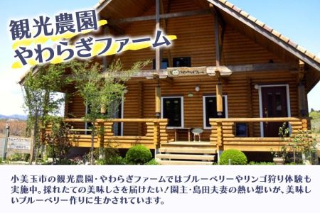 果汁50％ブルーベリー飲料1本＆ブルーべリ－ジャム2個セット ブルーベリー ジュース ジャム ブルーベリージャム ブルーベリージュース フルーツ ビタミンE ドリンク 栄養 目にいい 美容 ギフト 贈