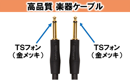 【Roland純正】高品質楽器ケーブル 1m/RIC-G3【配送不可：離島】