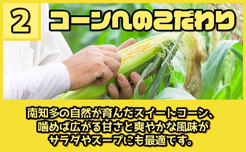 【先行予約 6月下旬から出荷】 スイートコーン 約5kg 10～14本 冷蔵 国産 とうもろこし 先行予約 数量限定 コーン 野菜 新鮮 焼き 蒸し 産地 直送 甘い 甘口 子ども 子供 小分け 種子