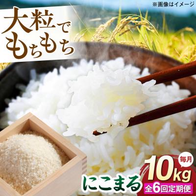 ふるさと納税 糸島市 【全6回定期便】 にこまる 玄米品質1等米 白米 10kg 糸島市産 [AGR012]
