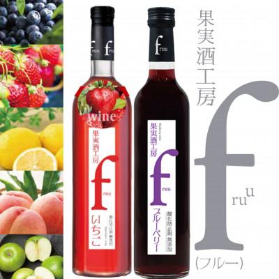 ふるさと納税 甲州市 シャトー勝沼 果実酒工房fruu いちご・ブルーベリー　2本セット　A07-653
