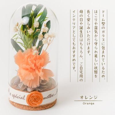 ふるさと納税 羽島市 プリザーブドフラワー ガラスドーム型アレンジ 【イネス ミニ(オレンジ)】 |  | 01
