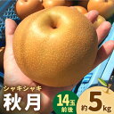 【ふるさと納税】【数量限定】秋月（梨）約5kg（14玉前後）ー2025年9月より発送ー 長与町/溝上農園 [EBY003] 長崎県産 長与町 先行予約 大容量 フルーツ 果物 梨 なし ナシ 秋月 あきづき 大容量 お取り寄せ