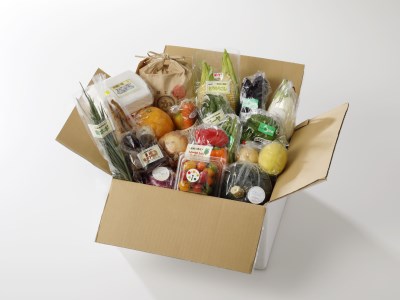 【全12回】野菜 × 果物 ×お米×卵 定期便 [AGBX033] お米 定期便
