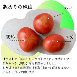 【ふるさと納税】訳あり 3回 定期便 フルーツトマト 原田農園【12月下旬～5月頃発送】＜1.8kg 箱入＞ 桃太郎【常温】送料無料 家庭用 ワケあり 変形 キズあり 高知県　＜2024年12月下旬頃