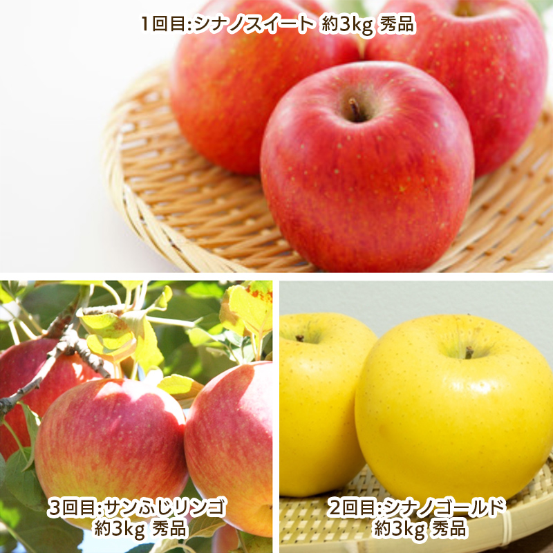 【定期便3回】りんご好きのためのやまがたりんご定期便 FY25-035