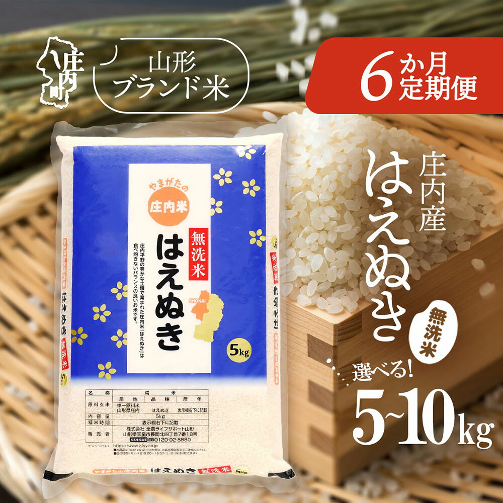 【ふるさと納税】【6か月定期便】庄内米 はえぬき 無洗米 選べる配送開始月 内容量 5kg / 6kg / 10kg 令和7年産 / 令和8年産 ブランド米 米 山形 庄内平野 コシヒカリの原点、亀の尾発祥の地 庄内 お米の定期便 ふるさと納税 定期便 定期 山形県【毎月中旬発送】